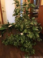 Full view of four faux plants with variegated leaves and dense foliage arranged on wooden floor indoors
