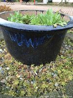 Front view of dark blue glazed ceramic planter with lighter blue drip detail, filled with soil and plants, placed on stone patio.