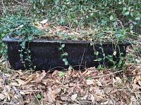 Full view of rectangular planter with vines and dried leaves