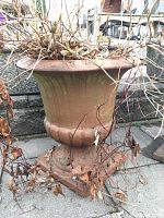 Clay planter with dried plants indoors on a paved surface against a block wall