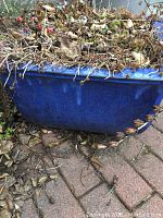 Side view of the blue glazed planter showing texture, glaze finish, and dried plant remains