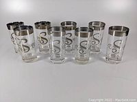Eight Dorothy Thorpe style highball tumblers arranged in a row showing clear glass with silver rim and monogrammed letter S.