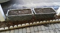 Photo showing both rectangular cement planters filled with soil and placed outdoors on ground with brick edging.