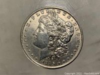 Obverse side of the 1885 Morgan Silver Dollar showing Lady Liberty profile and date 1885.