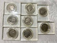 Eight Buffalo nickels each encased in clear square glass holders with round coin capsules inset for coin display. Visible dates and designs on coins variety of wear and patina.