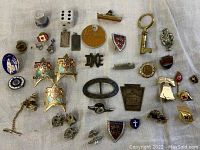 Full lot display showing various pins, dog tags, charms, keys, and badges on a beige cloth surface.