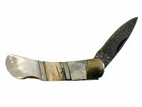 Knife with handle composed of mother of pearl, fossilized dinosaur bone, and wood segments, with a 2-inch Damascus steel blade in lockback style.