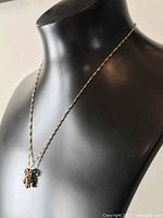 Full view of 18-inch twisted rope chain and attached R pendant displayed on a bust