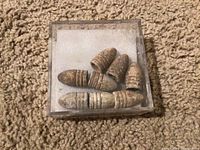 Eight aged lead bullets displayed in clear box on carpeted floor, showing rings on bullets and patina from age.