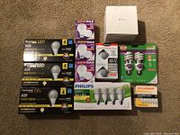 Lot of assorted light bulbs including boxed Luminous LED bulbs, Super Bulb incandescent globe bulbs, Selection halogen bulbs, Philips spiral CFL bulbs, and Sylvania candelabra bulbs arranged on carpet.