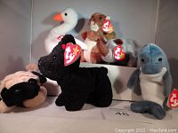 Eight Ty Beanie Babies plush animals shown from various angles inside a display box. Each has the original Ty heart-shaped tag attached.