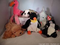 Multiple Beanie Babies plush toys arranged in a white backdrop, showing original Ty heart tags on each. Includes a flamingo, dog, dolphin, penguin, and skunk.