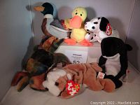 Six Beanie Babies plush toys displayed together on a shelf, showing detailed view of each animal and original TY tags.