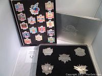 Photo showing 14 colorful enamel Disney California Adventure cast member pins mounted on black foam board inside presentation box.