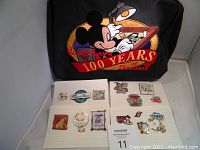 Full view of Disney pin book with embroidery and pins displayed on white cards below