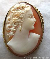 Front full close-up of the cameo brooch highlighting the detailed lady's head profile carved in genuine shell, with curls and earring visible