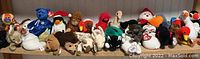 Wide shot of the collection of Beanie Babies arranged on a shelf showing a variety of animals including bears, penguins, cats, and other plush toys.