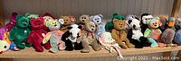 Wide shot of 18 assorted TY Beanie Baby bears and one fish plush lined up on a wooden shelf, showing original TY tags.