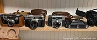 Row of vintage film cameras showing front views and leather cases, including Canon, Agfa, Argus, and Zeiss cameras.