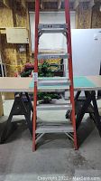 Front view of Werner orange fiberglass ladder with aluminum steps, showing 6 ft height and sawhorses behind door tabletop.