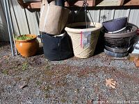 Multiple outdoor pots of varying sizes and materials including terracotta, plastic, and fabric grow bags. Pots are placed on gravel ground near a shed wall.