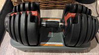 Pair of Bowflex SelectTech adjustable dumbbells on grey plastic docking tray, showing weight plates, selector dials, and Bowflex logo
