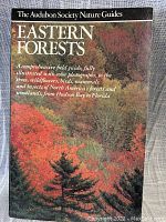 Front cover showing the title 'Eastern Forests' with an autumn forest photograph and explanatory text describing the nature guide contents.