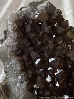 Close-up of dark translucent fluorite crystals with visible crystal faces and a glossy surface.