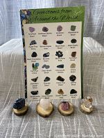 Four tumblestone gemstones mounted on small wooden stands in front of a laminated identification card listing gemstones from around the world with names and origins.