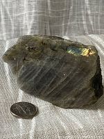 Natural rough purple labradorite mineral with visible labradorescence and a US quarter for scale.