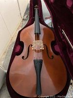 Cello resting inside velvet-lined case showing body, bridge, f-holes, tailpiece and bow