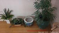 Photo showing arrangement of three faux plants, wicker basket, and pots on wooden floor.