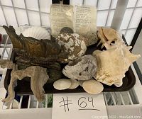 Overview of the lot items including large seashells, two sand dollars, driftwood, and a decorative metal ship figurine