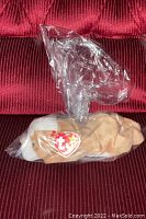 Beanie Baby Wrinkles dog plush sealed in clear plastic on red fabric background showing front and side profile.