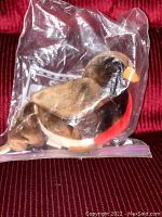 Image showing brown and dark brown Early Bird plush with red chest inside a clear plastic bag against a red background.