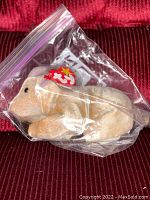 Front side of the goat plush inside plastic bag showing TY tag and visible soft fur texture.