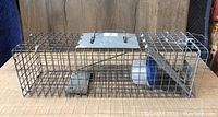 Side view of the rectangular wire mesh Havahart raccoon trap showing the door mechanism and handle on top.