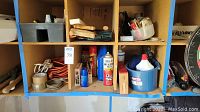Shelf with several small hand tools, power cords, bottled chemicals including bug insecticides, caulk tools, and adhesives.