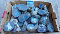 Box containing 32 Oregon thunderegg stones with some cut and polished and others raw. Nickel for size reference visible.