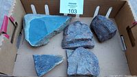 Five fossilized bone fragments arranged in a cardboard box showing their varied shapes and textures.