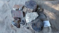 Lot of 11 petrified wood pieces on concrete floor with nickel coin for size reference. Pieces vary in size, shape, and color.