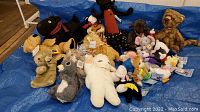 Photo showing assortment of plush animals and puppets arranged on blue tarp, featuring various animals such as lambs, cats, mice, birds, and dogs.