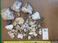 Top-down photo showing a spread of approximately 50 rocks and minerals of various sizes and colors mostly white and light tan with some greenish bits
