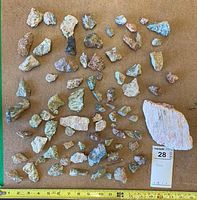 Over 60 assorted rocks and minerals laid out flat on a surface with measuring tape for scale, showing varied sizes and shapes.