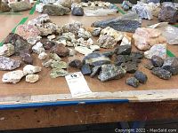 View of a large selection of over 50 assorted rocks of various sizes and colors spread on a table.