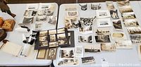 Multiple vintage black and white and sepia-toned family photographs and postcards spread out on white tables including portraits, scenic views, and group photos.