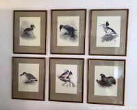 Photo showing six framed bird prints hung on a wall, each with tan mats and wooden frames, depicting different bird species in naturalistic style.