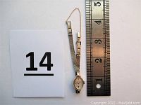 Watch and safety chain laid flat next to a ruler and lot number card