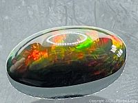 Close-up image showing oval black opal with bright red and orange flashes on polished surface.