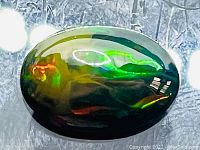 Close-up image of an oval cabochon cut opal showing bright green, red, and orange flashes on a black brown background with a glossy polished finish.